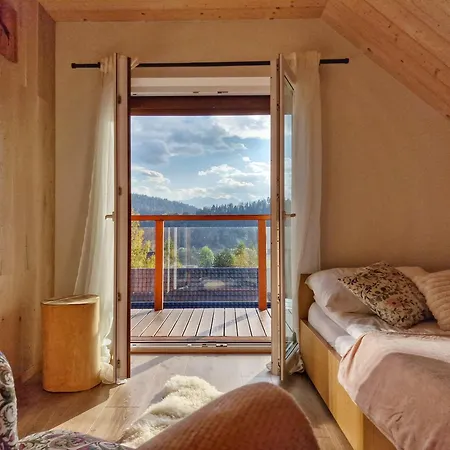 Nad Zalew Dom Z Basenem Letnim, Jacuzzi I Sauna, Jezioro I Trasa Velo Czorsztyn W Poblizu